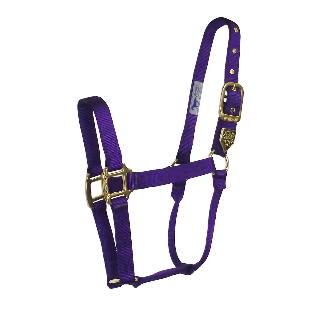 Gamarron Deluxe Hamilton De Nylon Colores Varios