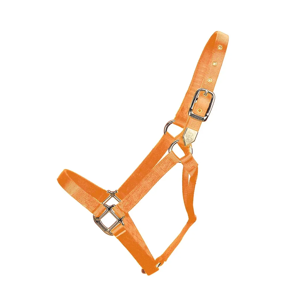 Gamarron Deluxe Hamilton De Nylon Colores Varios