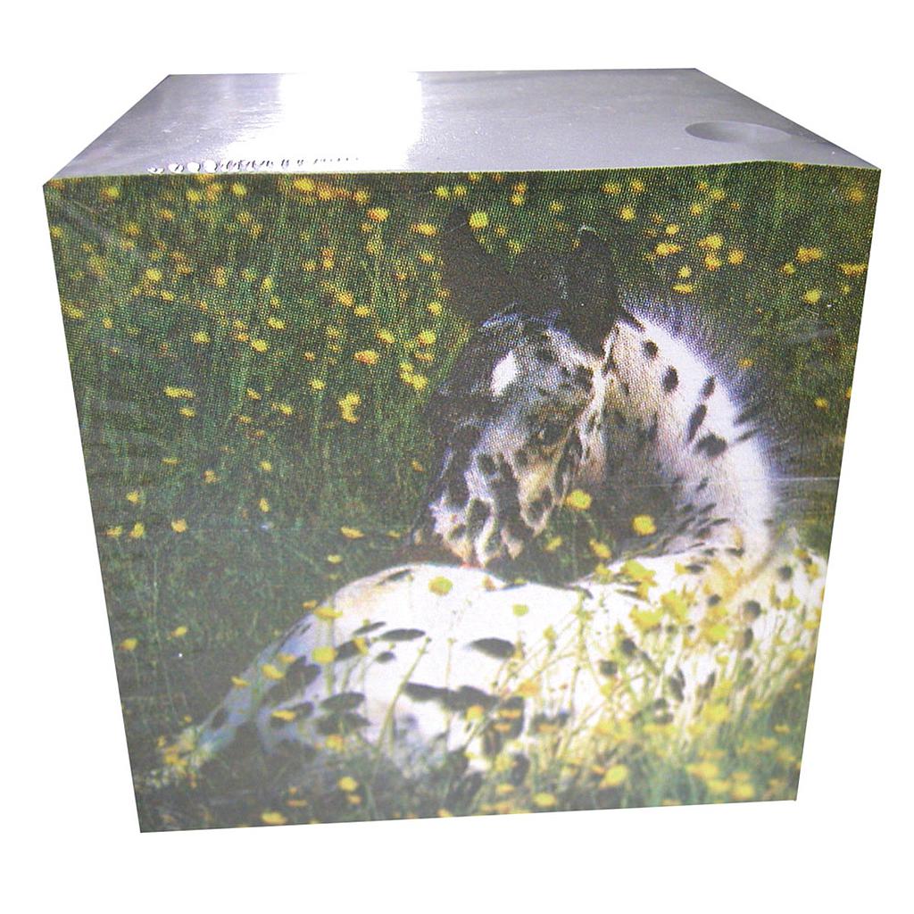 Block de Notas Con Imagen de Potro Appaloosa 