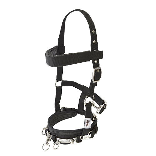 Cabezada Inglesa Con Serreta Inglesa HH Nylon :Negr :Full 