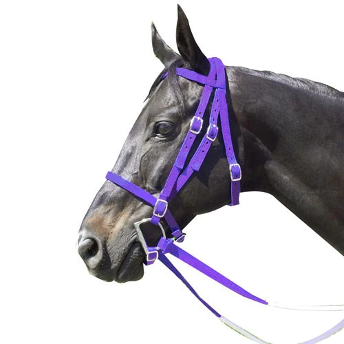 Cabezada Para Carreras - Estandar - Morado 