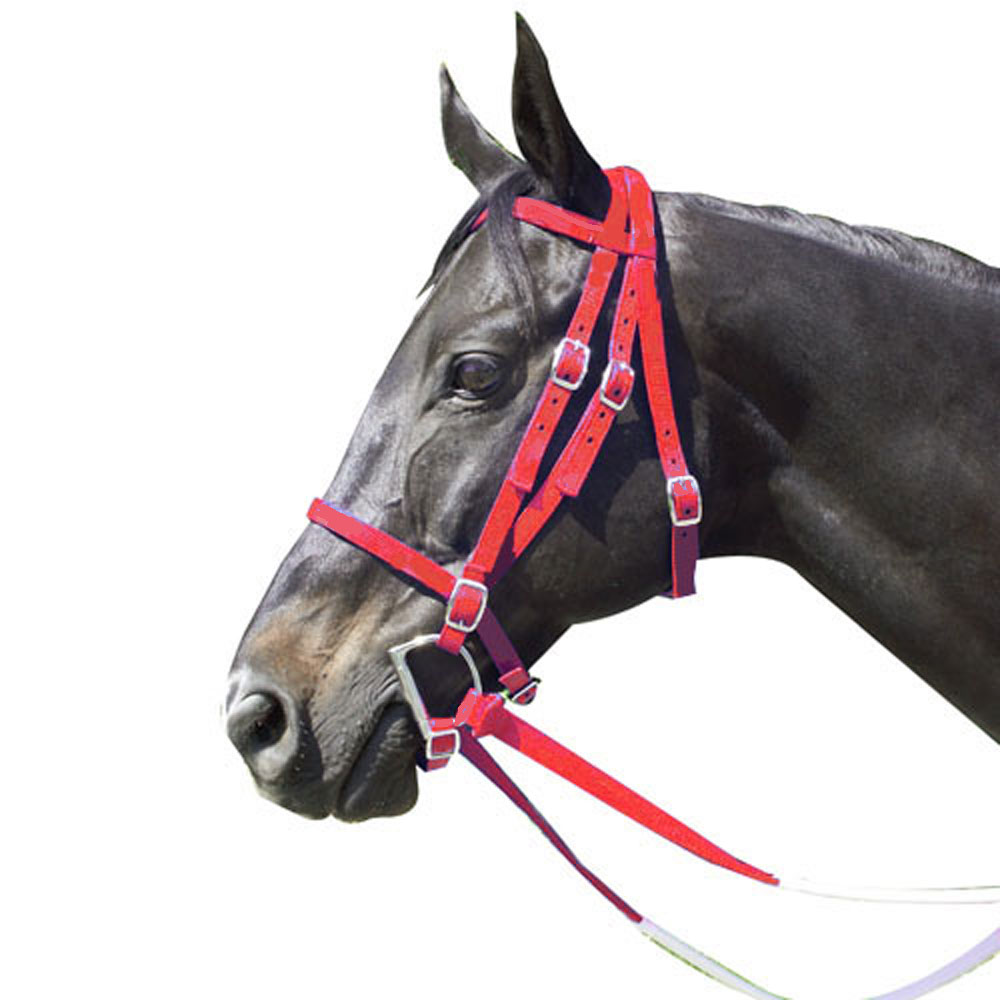 Cabezada Para Carreras - Estandar - Rojo 