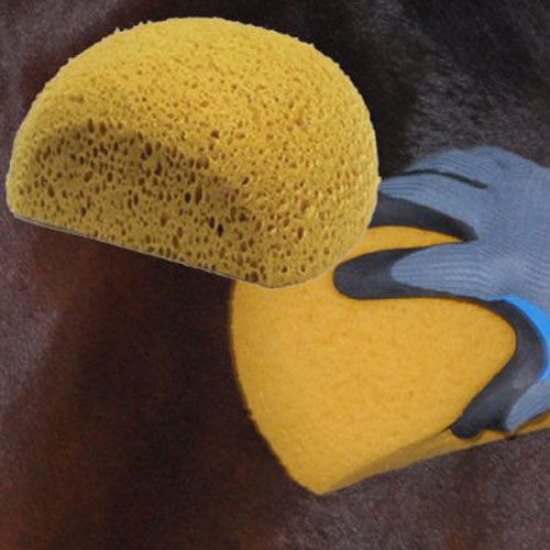 Esponja De Lavado Para Equino 