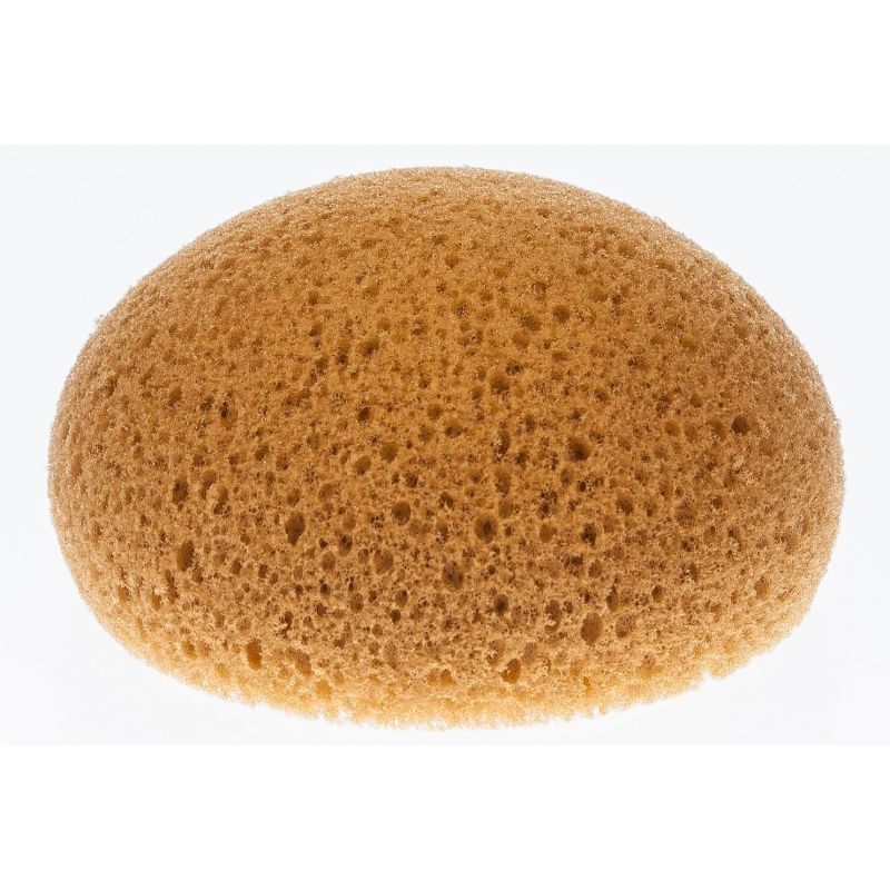 Esponja Redonda Pequeña En forma de Tachuela 