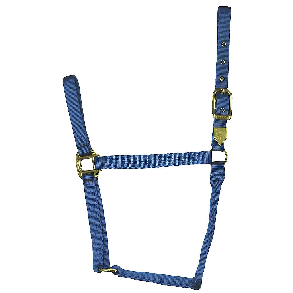 Gamarron Quality Azul Average 800-1100 Lb 