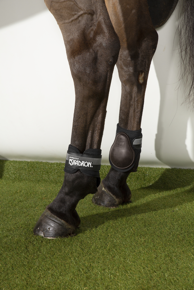 Protectores Eskadron Para Patas - Café 