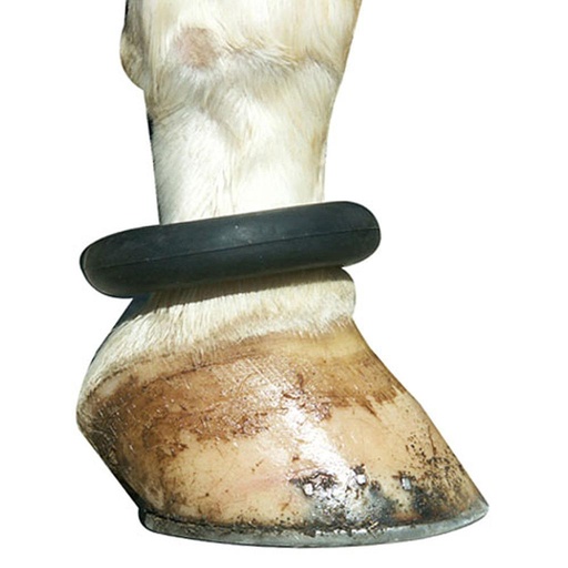 [202176] Anillo de Hule Para Patas de Caballo 
