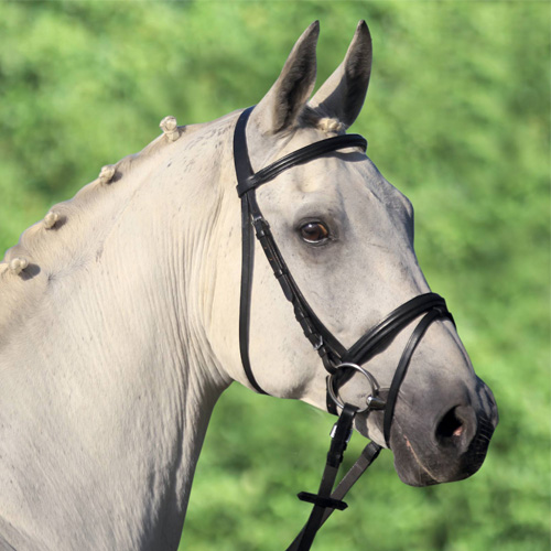 [68047001-PON] Cabezada Lifestyle - Pony - Negro 