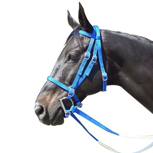 [159175B] Cabezada Para Carreras - Estandar - Azul 