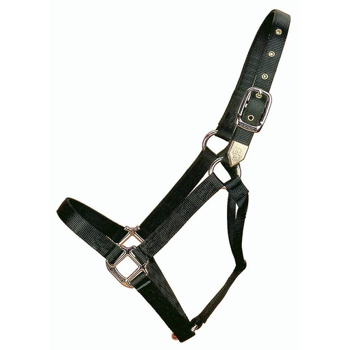 [1D AVBK] Gamarron Quality Negro Average 800-1100 Lb 