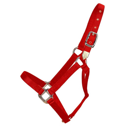 [1D AVRD] Gamarron Quality Rojo Average 800-1100 Lb 