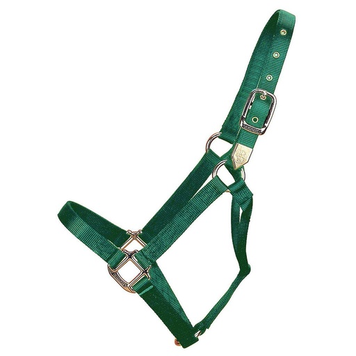 [1D AVDG] Gamarron Quality Verde Average 800-1100 Lb 
