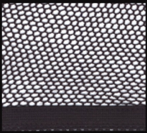 [467991BLK] Red Para Pelo Color Negro - Negro - Negro 