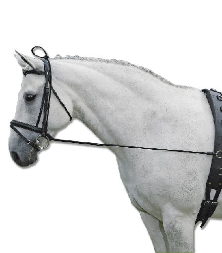 [178201-WB] Riendas Elasticas Laterales Talla Full 