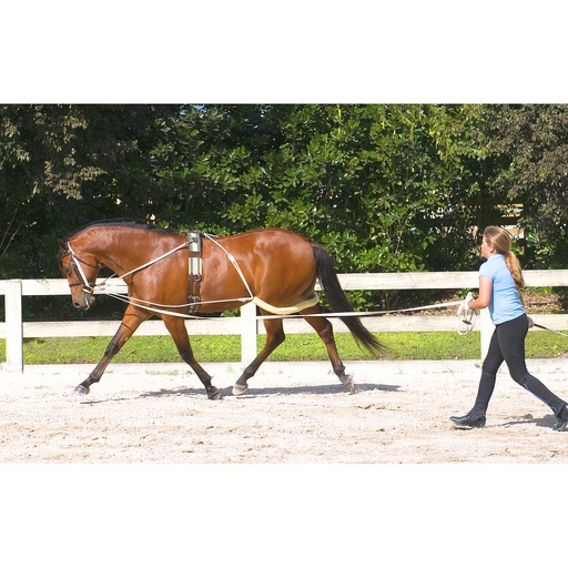 [460300NONHRSE] Sistema de Entrenamiento Pessoa Talla Horse 